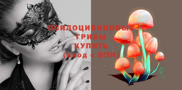 шишки Рославль