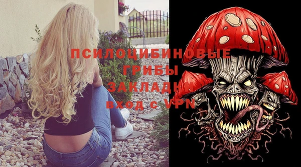шишки Рославль