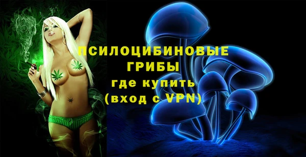 шишки Рославль